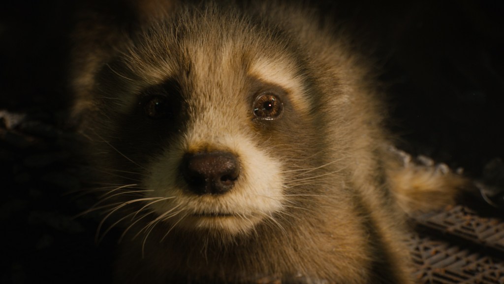 A framecapture of a young Rocket Racoon from Guardians of the Galaxy Volume 3. 